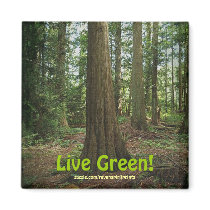 EARTH DAY FOREST Live Green Motivational Magnets