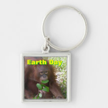 Earth Day Key Chain