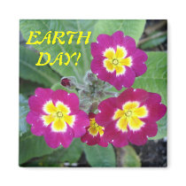 Earth Day magnet