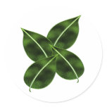 Earth Friendly Sticker
