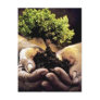 Earth Hands Postcard