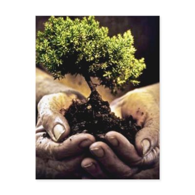 Earth Hands Postcard by claire_bridges2006