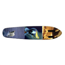 earth skate skateboard