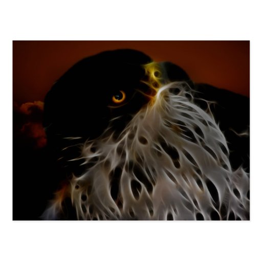 Earth to sky eagle post cards