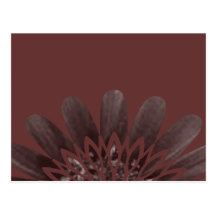 Earth Toned Floral Postcards