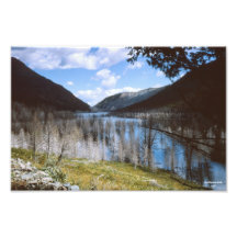 Earthquake Lake 1962 Montana Photographic Print
