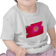 Earth's an Illusion Shirt