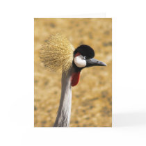 East African Crowned Crane Card