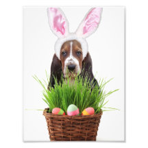 Easter Basset Hound dog Art Photo