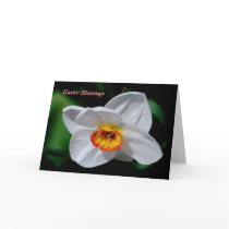 Easter Blessings Greeting Cards
