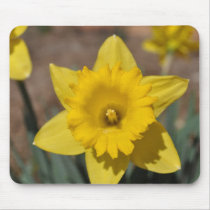 Easter Blessings Mousepads