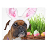 Easter boxer dog art photo