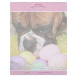 Easter boxer letterhead