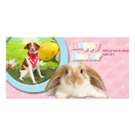Easter - Brittany Spaniel - Elliott Personalized Photo Card