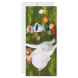 Easter Bunny And Coloured Eggs Rack Card Template