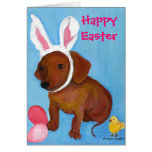 Easter Bunny Dachshund 2010 Card