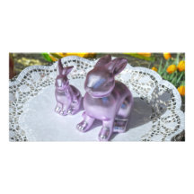 Easter Bunny Photo Cards