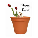 Easter Bunny Post Cards