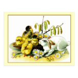 Easter Bunny Postcard