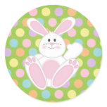 Easter Bunny Round Stickers