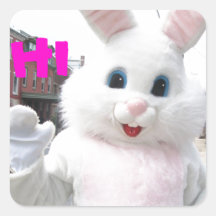 Easter Bunny Sticker