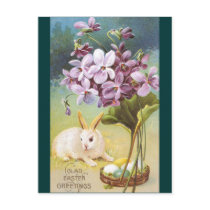 Easter Bunny & Violets