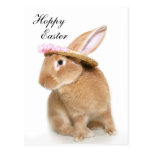 Easter Bunny's bonnet Postcard