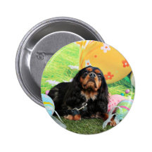 Easter - Cavalier King Charles Spaniel - Charlie Buttons