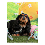 Easter - Cavalier King Charles Spaniel - Charlie Postcard