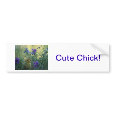 Easter Chick Bumper Sticker by walkandbark