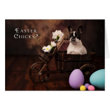 Easter Chick & French Bulldog Easter Card
