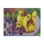 Easter Chick Greetings Post Cards