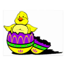 Easter Chick Hatching From Egg Post Cards