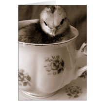 Easter Chick in a Teacup Cards