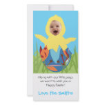 Easter Chick - Photo Card