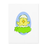 Easter Chick Postcard