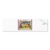 Easter Chicks Bumper Stickers