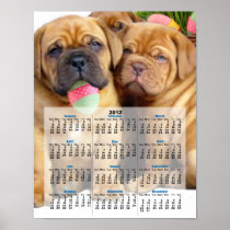 Easter Dogue de Bordeaux pups 2012 calendar poster
