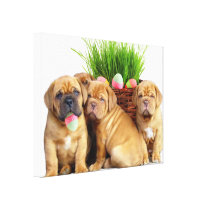 Easter Dogue de Bordeaux pups Canvas Prints