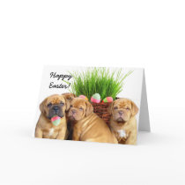 Easter Dogue de Bordeaux pups Greeting Card