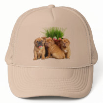 Easter Dogue de Bordeaux pups Hat