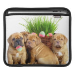 Easter Dogue de Bordeaux pups Sleeve For iPads