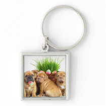 Easter Dogue de Bordeaux pups Key Chain