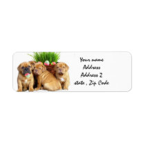 Easter Dogue de Bordeaux pups Custom Return Address Label