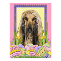 Easter Egg Cookies - Afghan Postcard