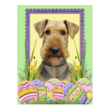 Easter Egg Cookies - Airedale Post Card