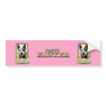 Easter Egg Cookies - Australian Cattle Dog Bumper Sticker