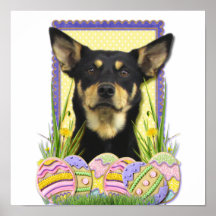 Easter Egg Cookies - Australian Kelpie Print