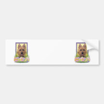 Easter Egg Cookies - Australian Terrier Bumper Stickers
