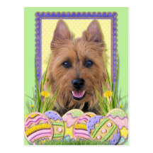 Easter Egg Cookies - Australian Terrier Postcards